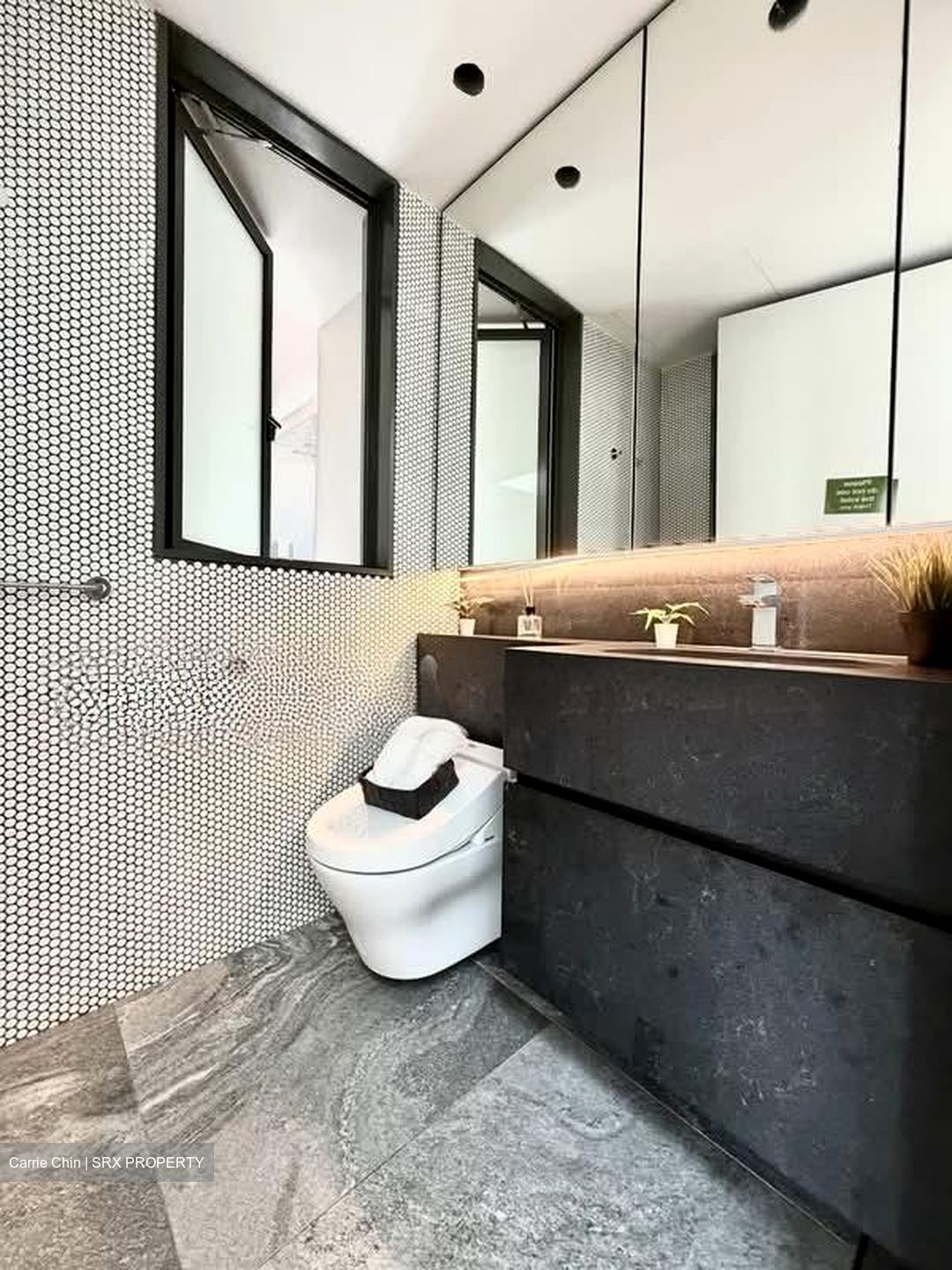 10 Evelyn (D11), Apartment #608791281